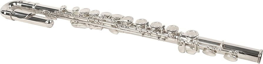 Amazon.co.jp: Kaerntner ケルントナー フルート KFLU-35/SV (U